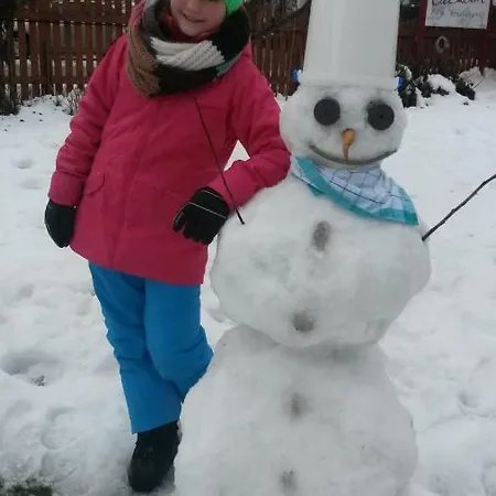 Garni Elisabeth Otel Zell am Ziller